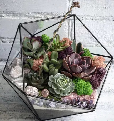 florarium-mini