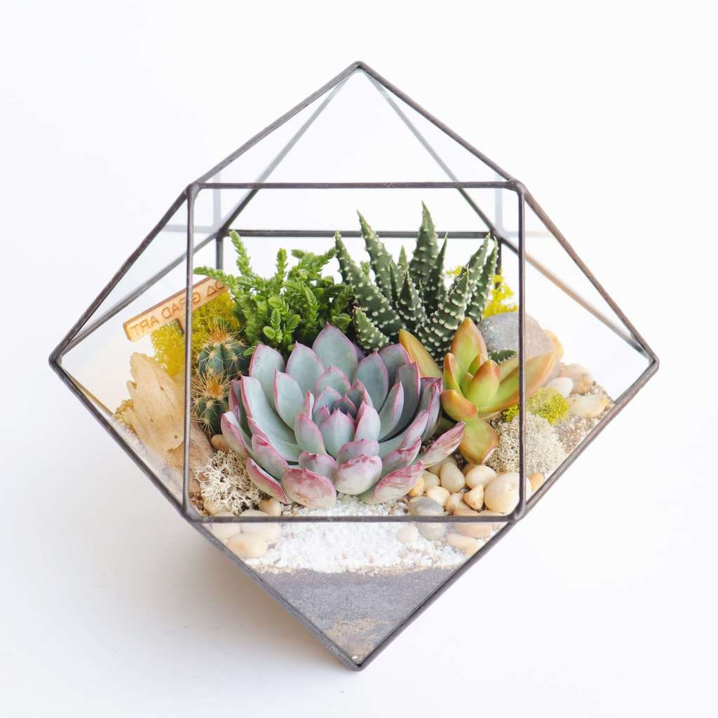 florarium-mini